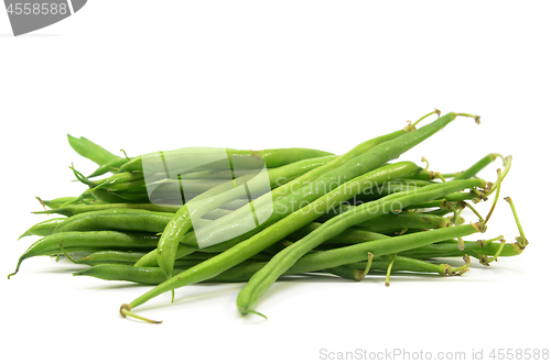 Image of Pile of raw green baby fine beans