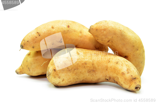 Image of Sweet potatoes isolated