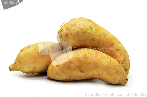 Image of Sweet potatoes isolated