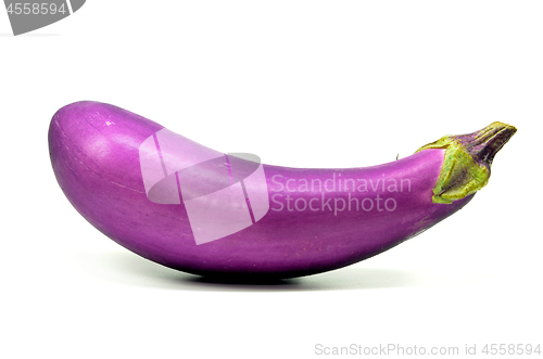 Image of Eggplant or aubergine isolated