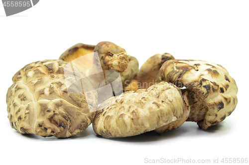 Image of Dried shiitake mushrooms isolated