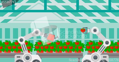 Image of Robot working in a greenhouse.