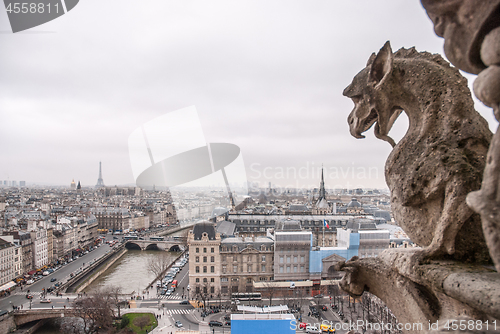 Image of Paris aerial view with Chimera of Notre Dame