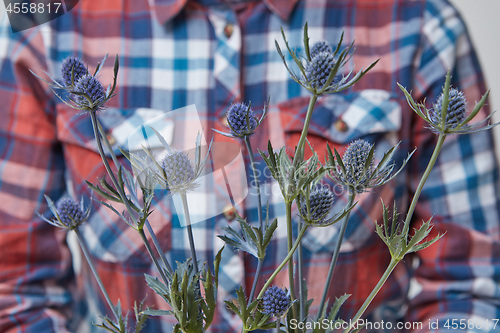 Image of girl holding blue flowers eryngium