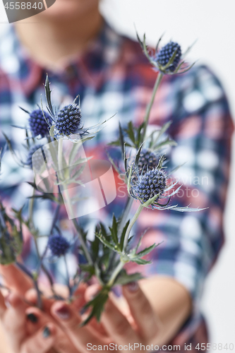 Image of woman holding blue flowers eryngium