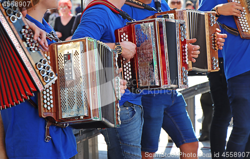 Image of Group of young accordion players 