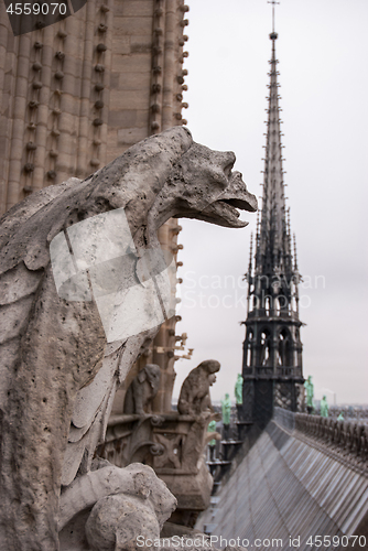 Image of Chimera of the Cathedral Notre Dame de Paris