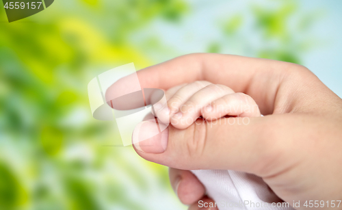 Image of close up of mother and newborn baby hands