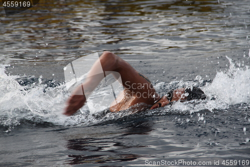Image of Faros swimming marathon