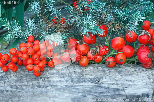 Image of Red Berries And Juniper On Wooden Background