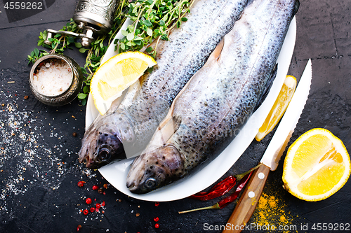 Image of raw fish