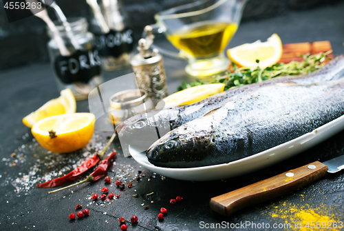 Image of raw fish