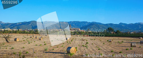 Image of Balearic Islands in Spain