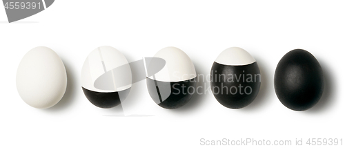 Image of White and black colored eggs on a white background with copy space. Concept of changing life. Flat lay.