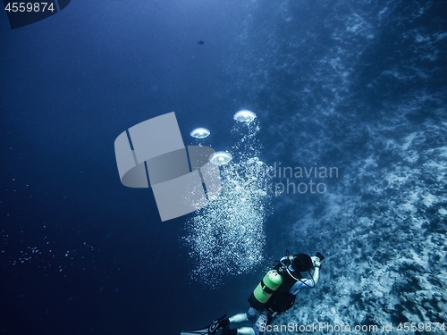Image of Scuba diver descending to the bottom