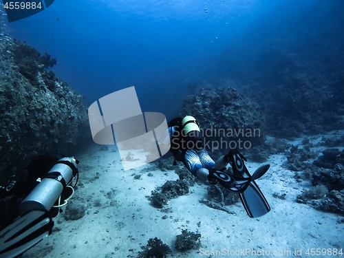 Image of Scuba diver descending to the bottom