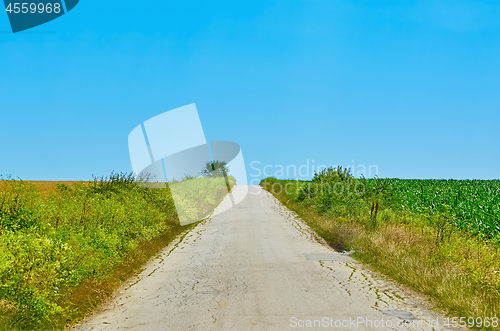 Image of Road in the Countryside