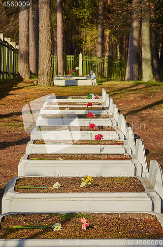 Image of Graves of Soviet Soldiers