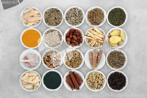 Image of Asthma Relieving Herbs and Spice