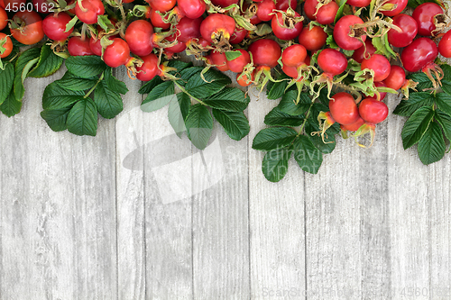 Image of Rose Hip Fruit Background Border