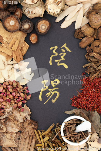 Image of Yin and Yang Chinese Herbs