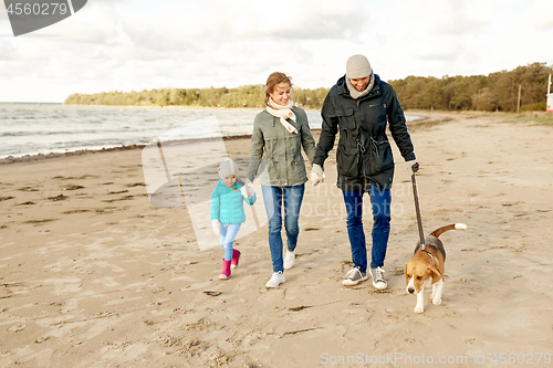 Image of happy family walking with beagle dog on beach