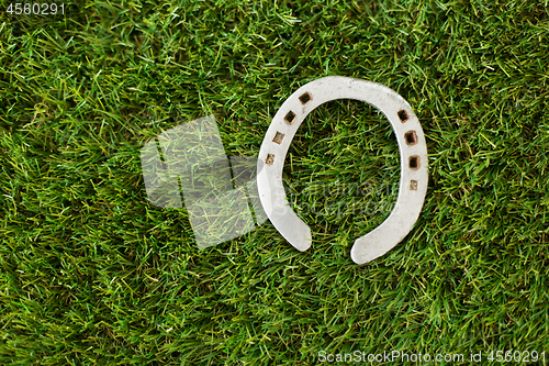 Image of horseshoe on artificial grass