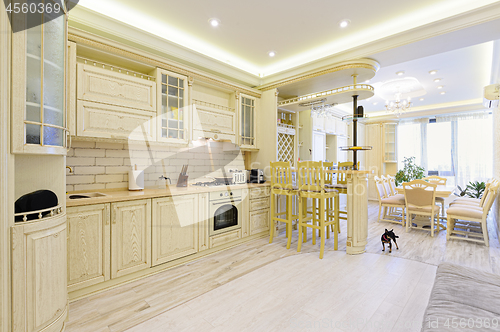 Image of Luxury modern beige and white kitchen interior