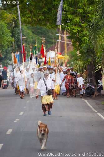 Image of Bali, Indonesia - Feb 2, 2012 - Hari Raya Galungan and Umanis Galungan holiday fesival parade - the days to celebrate the victory of Goodness over evil, on February 2nd 2012 on Bali, Indonesia