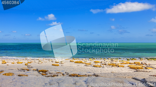 Image of Rocky Beach in Normandy