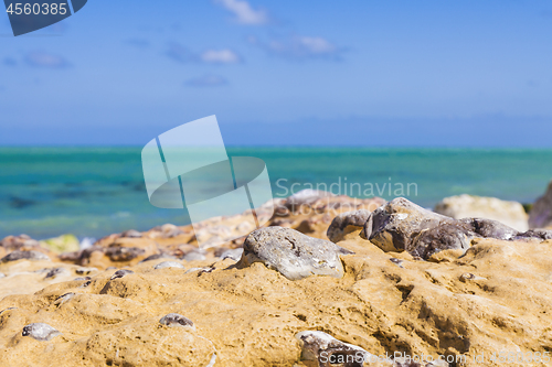 Image of Rocky Beach Abstract