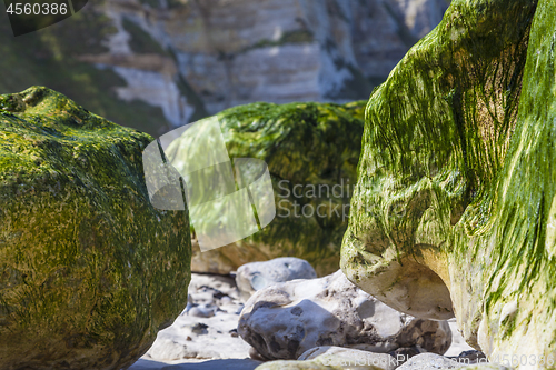 Image of Rocky Beach - Abstract Detail