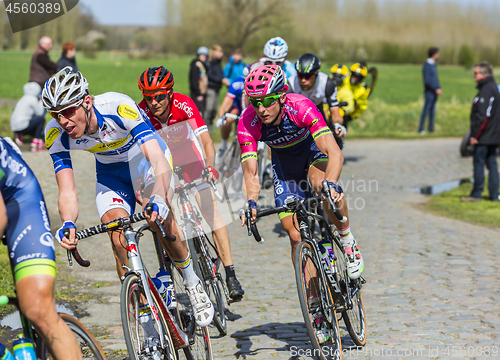 Image of The Peloton - Paris Roubaix 2016