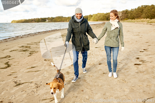 Image of happy couple with beagle dog on autumn beach