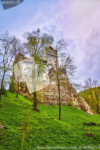 Image of Bran Castle (Dracula's Castle)