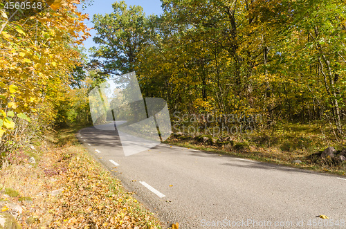 Image of Winding country road in  fall season colors