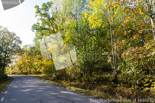 Image of Sunlit curved country road in fall colors