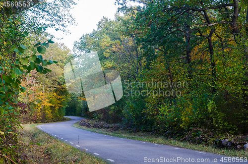 Image of Curved country road in  fall season colors