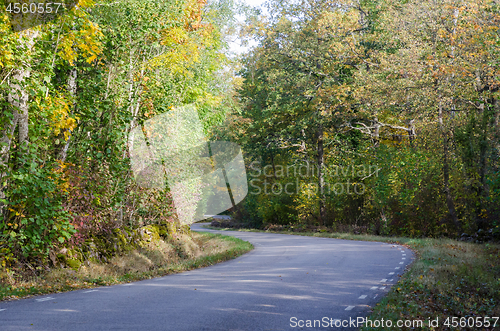 Image of Winding country road in fall season