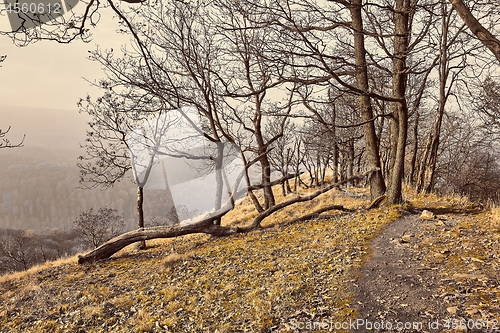 Image of Hilly landscape with autumn trees