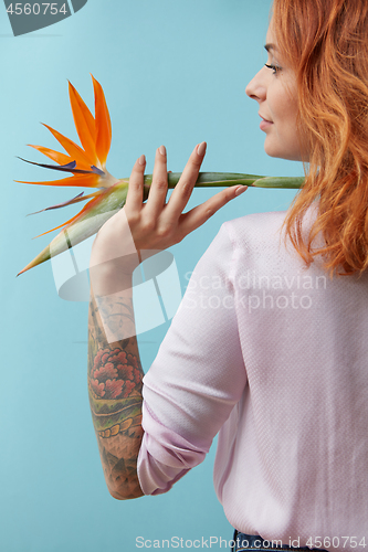 Image of Girl with a tattoo holding on her shoulder an orange flower strelitzia around a blue background with space for text. Creative layout