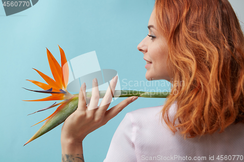 Image of Exotic flower strelitzia decorates shoulder smiling woman on a blue background with copy space. Postcard layout
