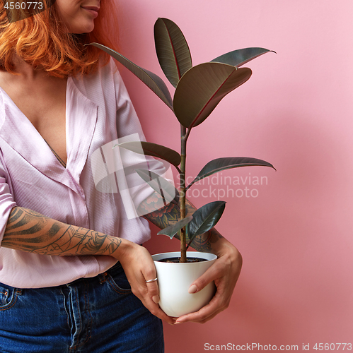 Image of Smiling happy girl with ginger hair holds flowerpot with green plant ficus, hands of tattoo on a pink background, copy space. Card for Mother\'s Day.