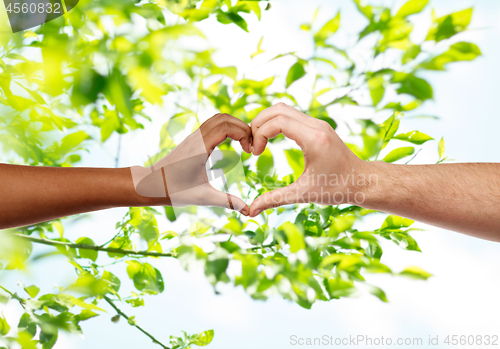 Image of hands of different skin color making heart shape