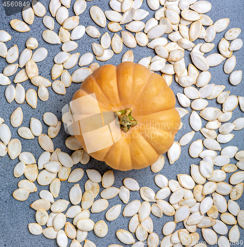 Image of Pumpkin on scattered unpeeled seeds.