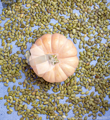 Image of Ripe pumpkin on scattered seeds.