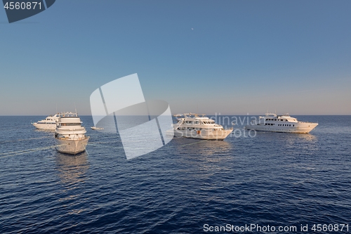 Image of White yachts on the Red Sea at sunset