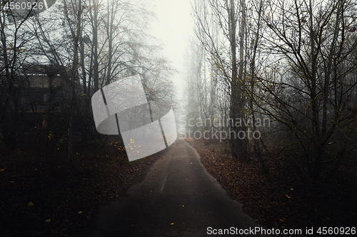 Image of Dark abandoned road in the forest