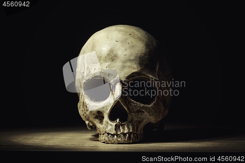 Image of Human skull in dim light closeup photo