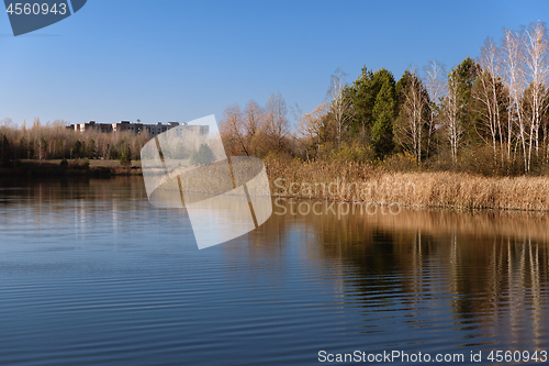 Image of Heartshape Lake in the swamps